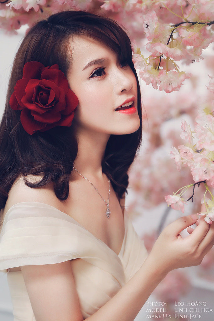 戰(zhàn)金嶺