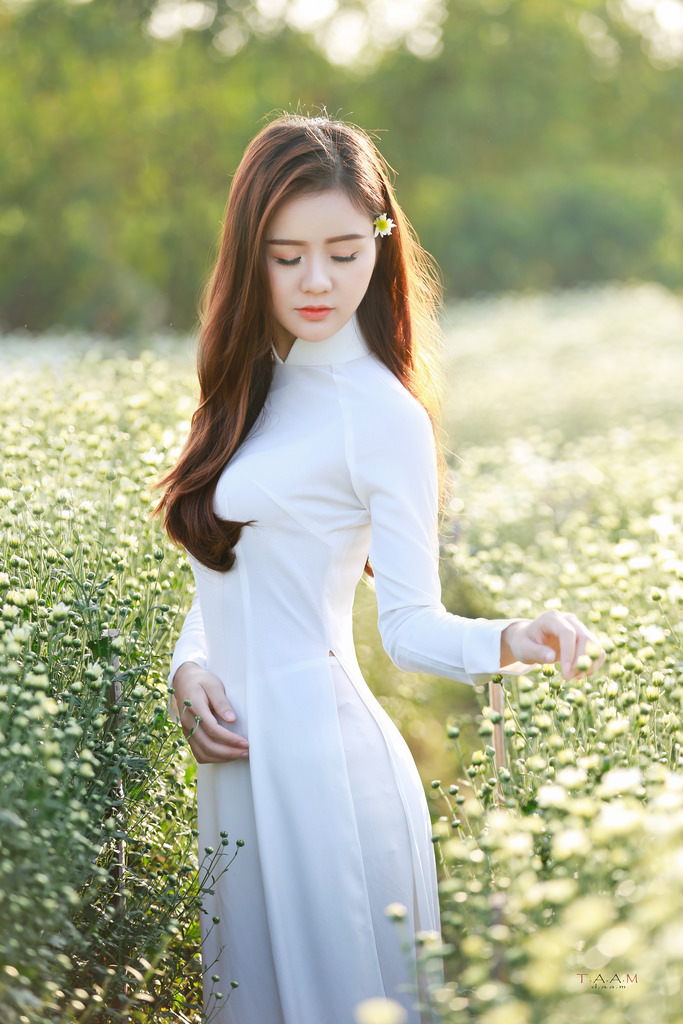 sunflower動(dòng)漫免費(fèi)觀看完整版